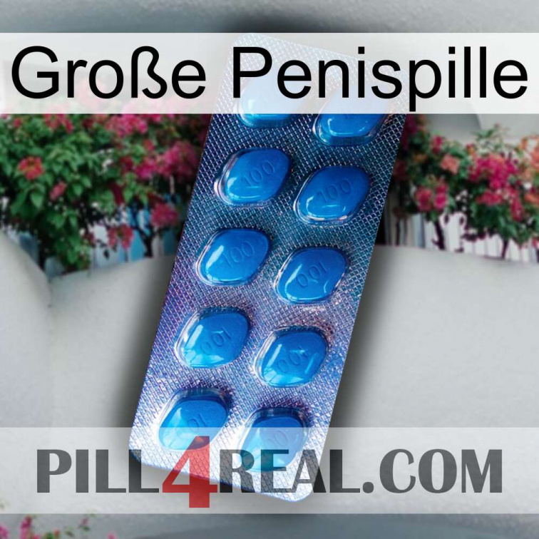 Große Penispille viagra1